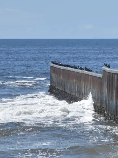 Visit Playas de Tijuana